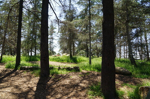 Cedar.Grove.18