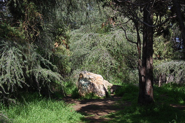 DSC 0039