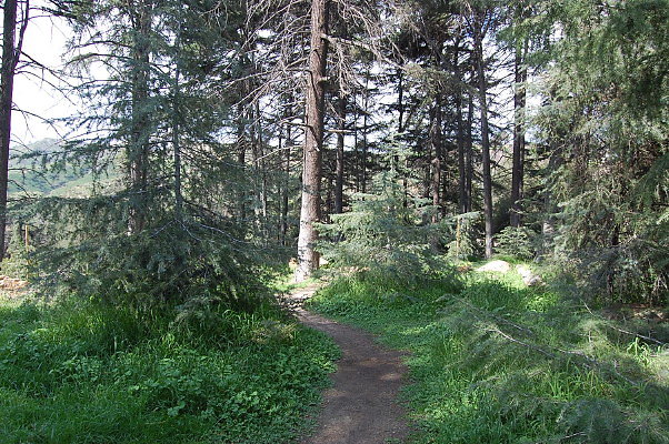 DSC 0037