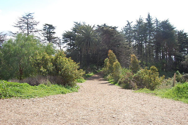 DSC 0002