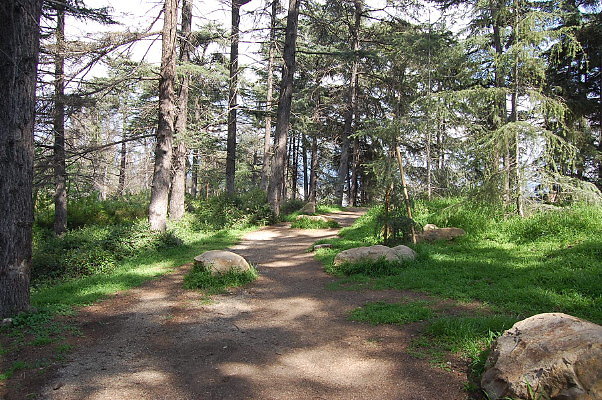 DSC 0025