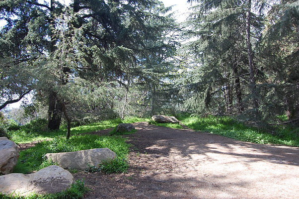 DSC 0043