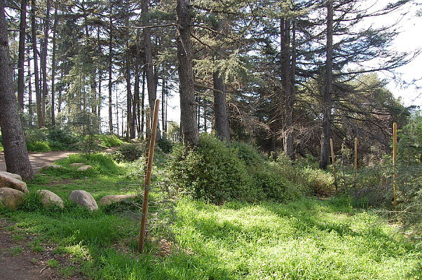 DSC 0015
