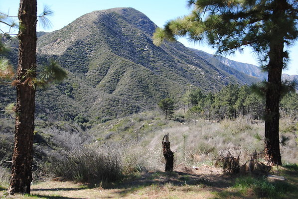 DSC 0095