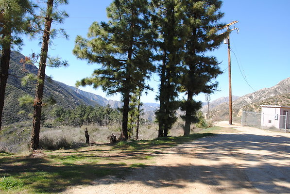 DSC 0077