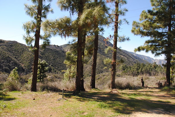 DSC 0076