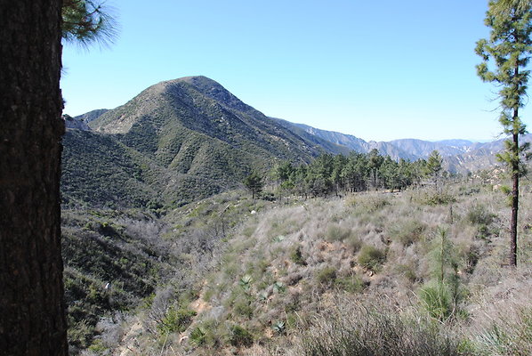 DSC 0081