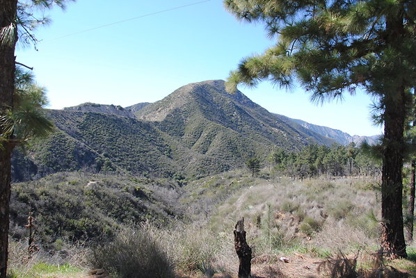 DSC 0099