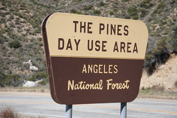 The Pines.Angeles National Forest