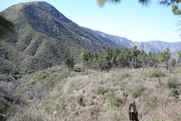 DSC 0089