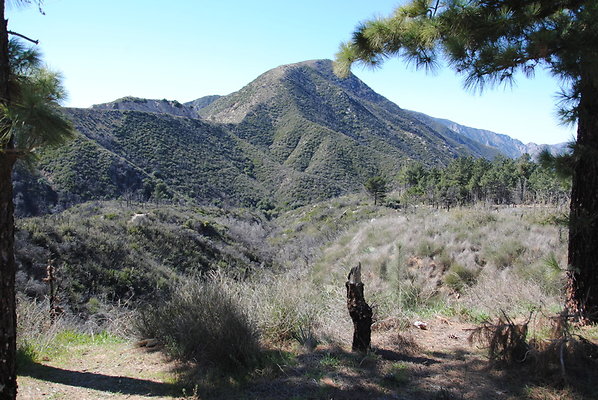 DSC 0090a
