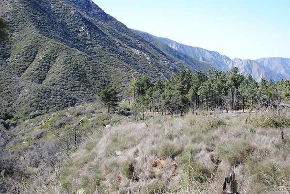 DSC 0088