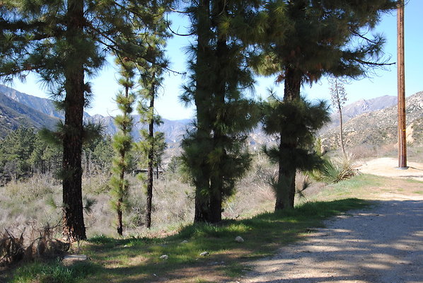 DSC 0096