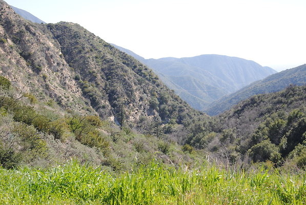 DSC 0046