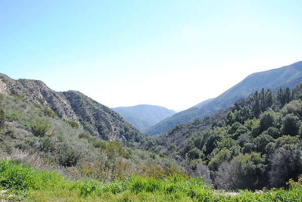 DSC 0039
