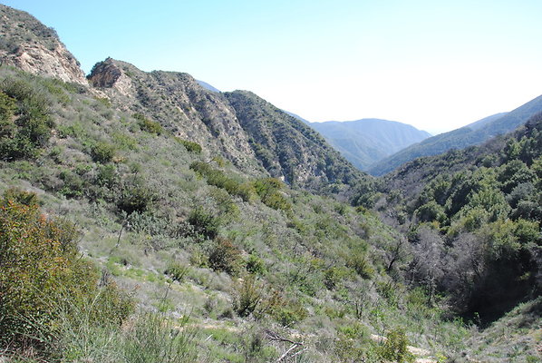 DSC 0032