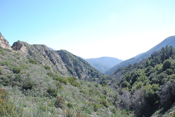DSC 0036