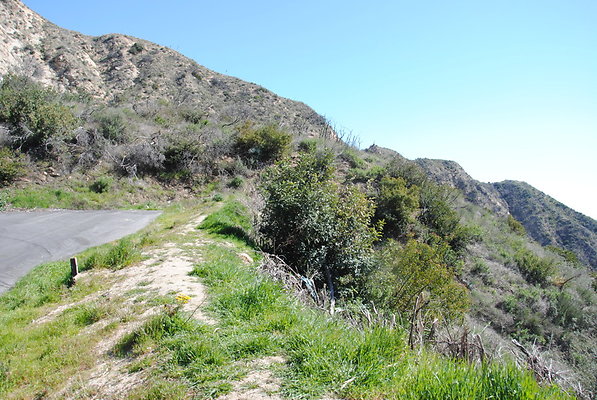 DSC 0019