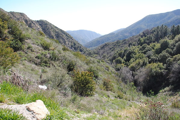 DSC 0022