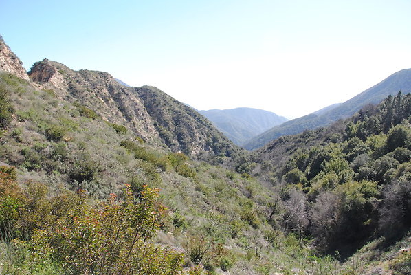 DSC 0030
