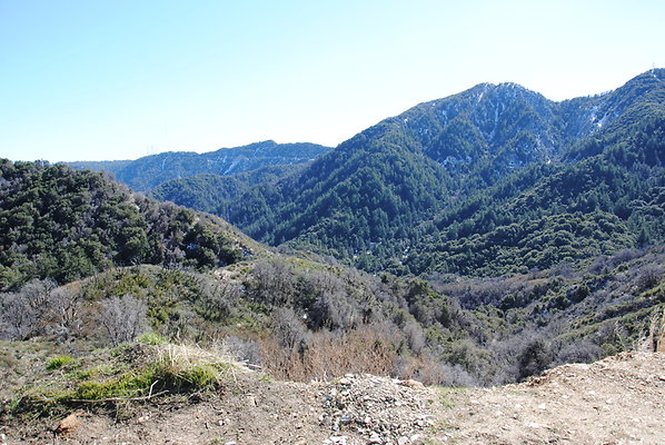 DSC 0199