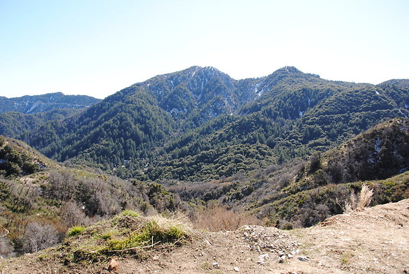 DSC 0197