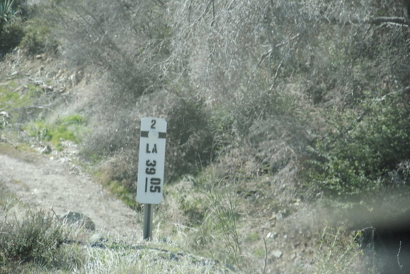 DSC 0200