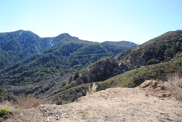 DSC 0198