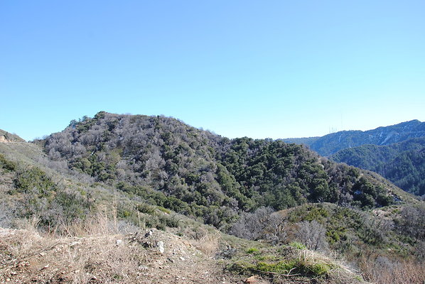 DSC 0182