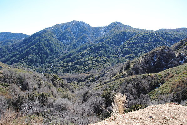 DSC 0187