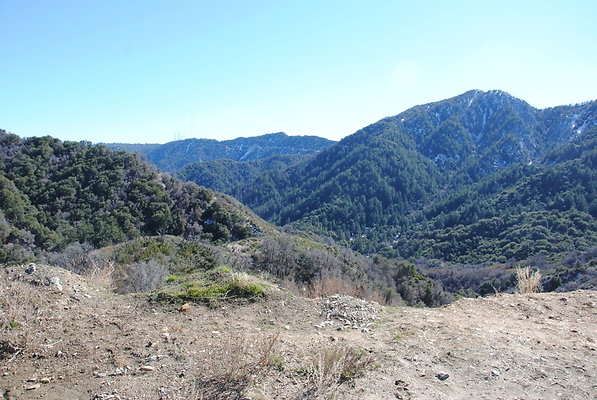DSC 0194