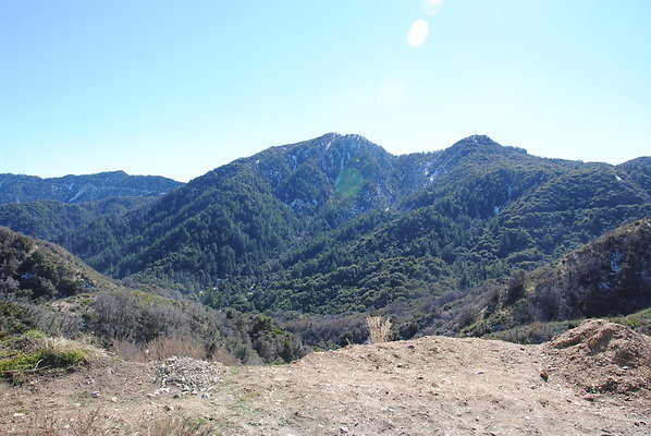 DSC 0195