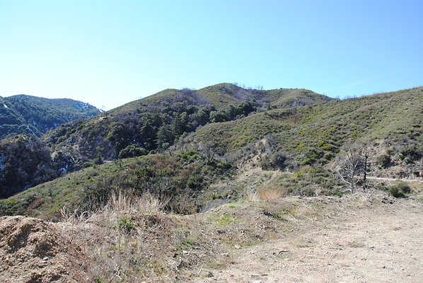 DSC 0185