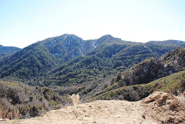 DSC 0184