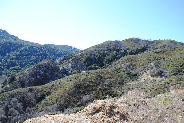 DSC 0188