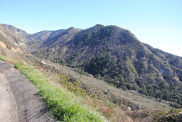 DSC 0138