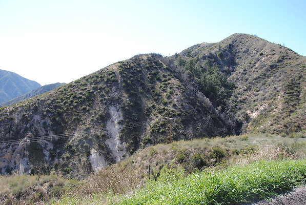 DSC 0135