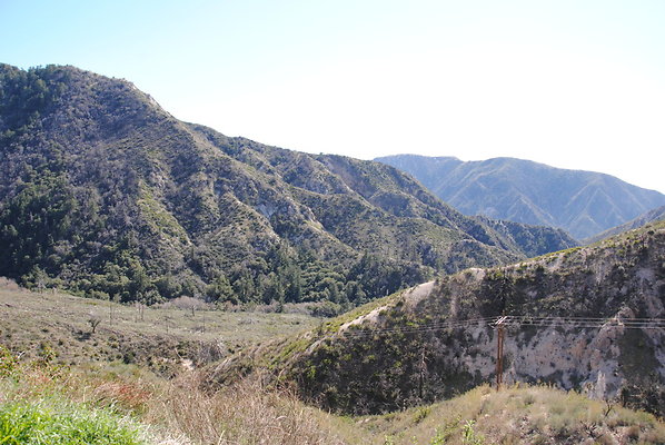 DSC 0139