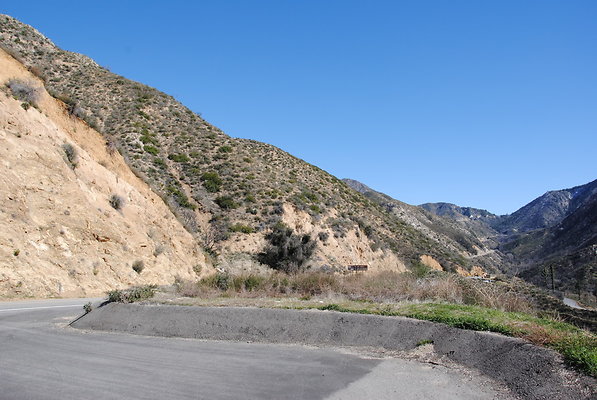 DSC 0131