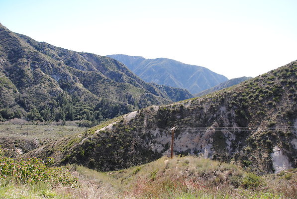 DSC 0134