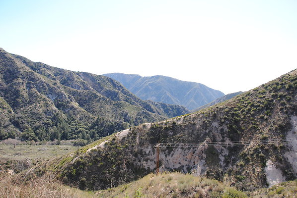 DSC 0136