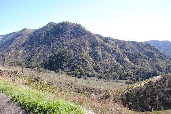 DSC 0137