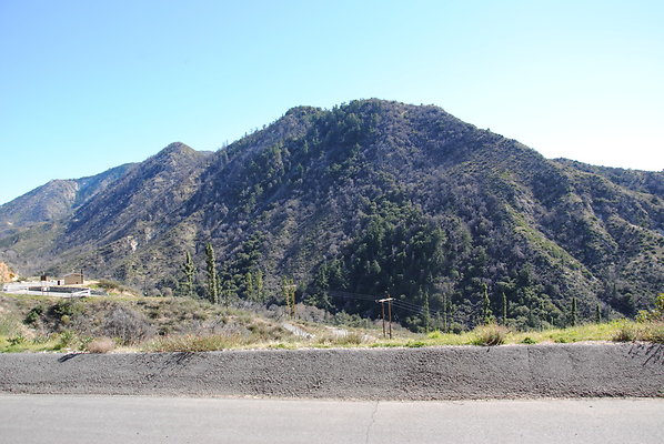 DSC 0140