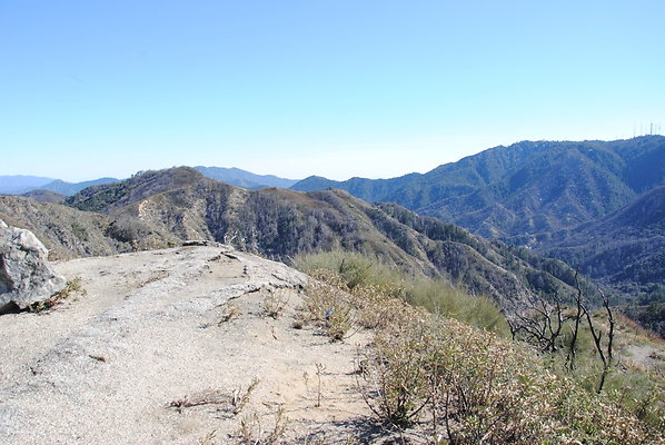 DSC 0274