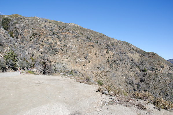 DSC 0290