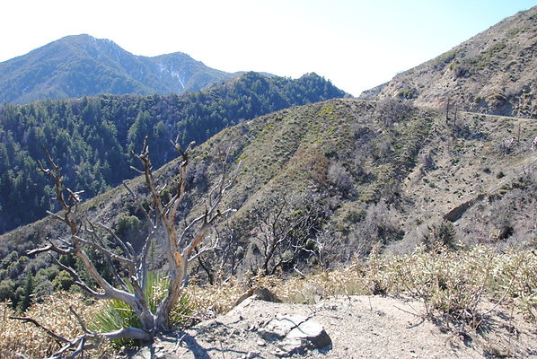 DSC 0276