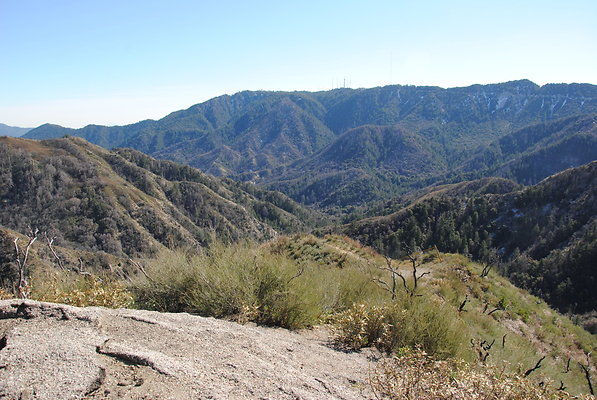 DSC 0280