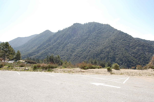 DSC 0066