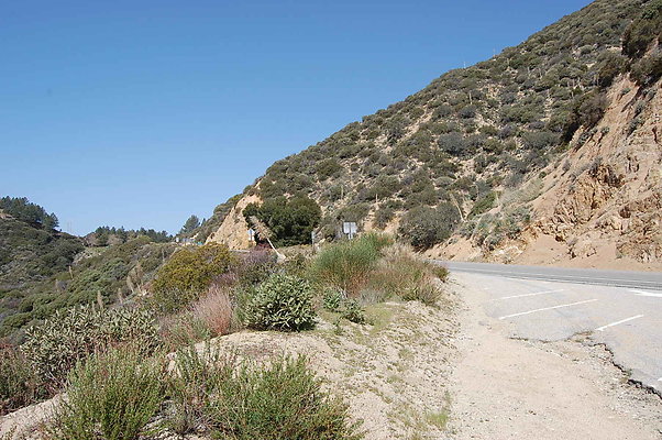 DSC 0077