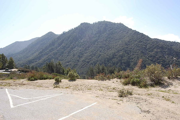DSC 0074